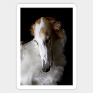 Borzoi bitch daydreaming Sticker